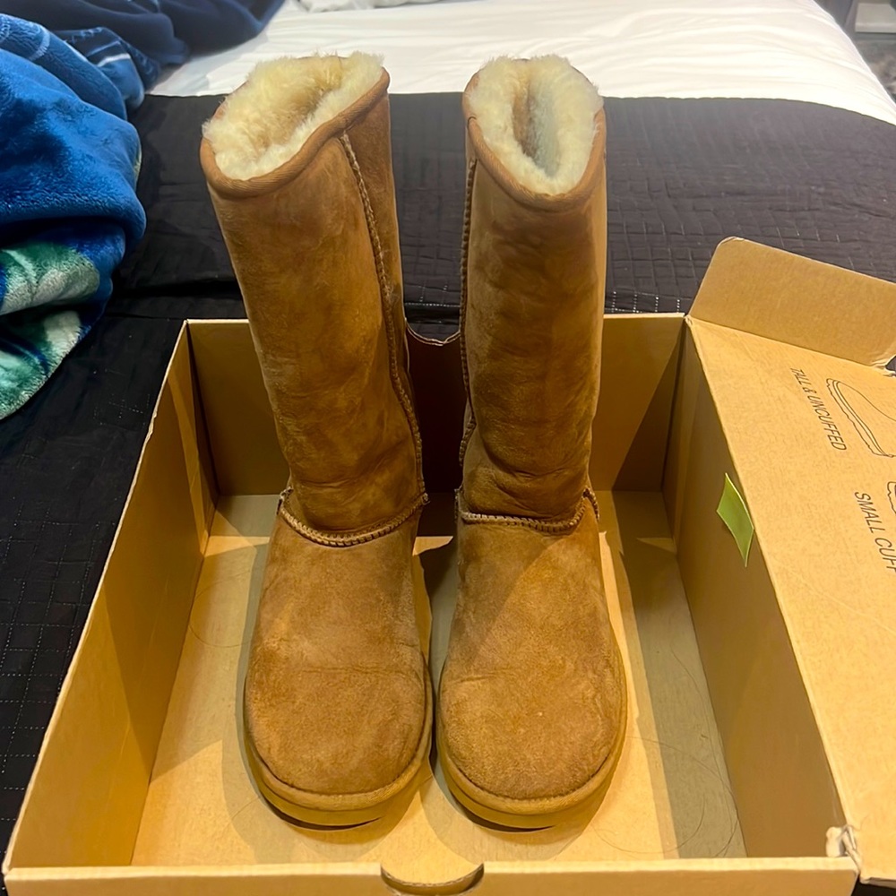 Cozy Steps tall Sheepskin boots
